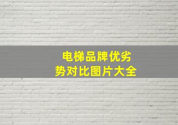 电梯品牌优劣势对比图片大全