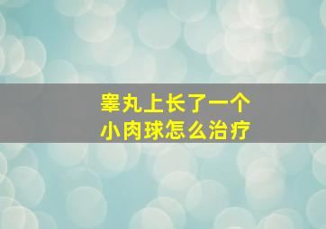 睾丸上长了一个小肉球怎么治疗