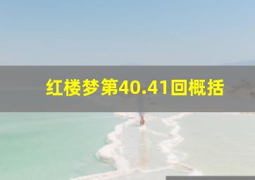 红楼梦第40.41回概括