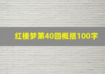 红楼梦第40回概括100字