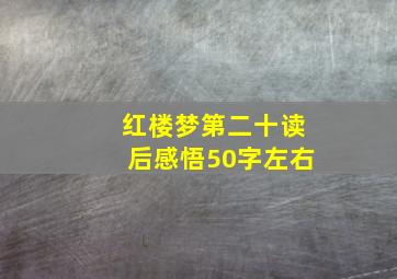 红楼梦第二十读后感悟50字左右