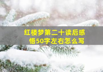 红楼梦第二十读后感悟50字左右怎么写