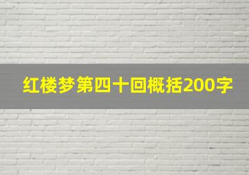 红楼梦第四十回概括200字