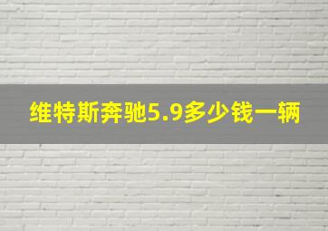 维特斯奔驰5.9多少钱一辆