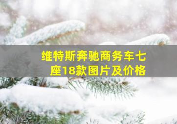 维特斯奔驰商务车七座18款图片及价格