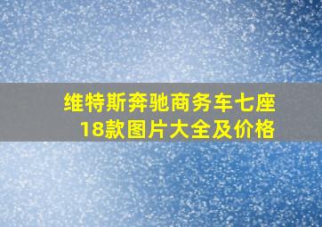 维特斯奔驰商务车七座18款图片大全及价格