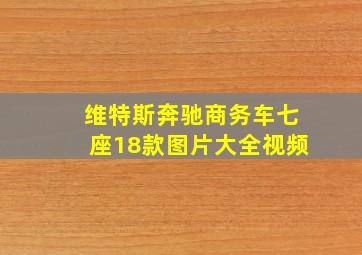 维特斯奔驰商务车七座18款图片大全视频