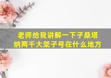 老师给我讲解一下子桑塔纳两千大架子号在什么地方