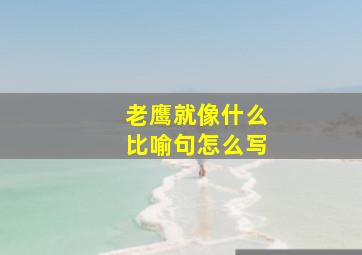 老鹰就像什么比喻句怎么写