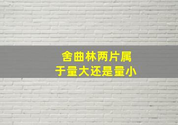 舍曲林两片属于量大还是量小