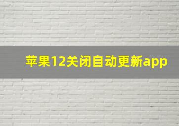 苹果12关闭自动更新app