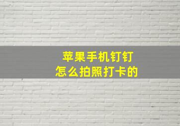 苹果手机钉钉怎么拍照打卡的