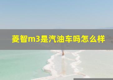 菱智m3是汽油车吗怎么样