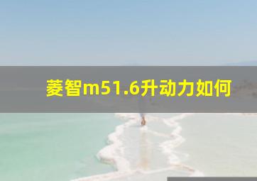 菱智m51.6升动力如何