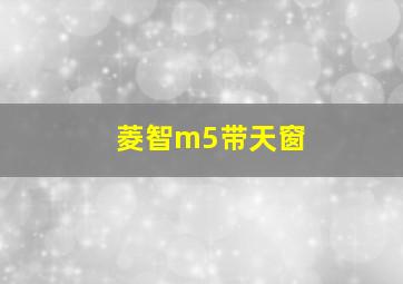 菱智m5带天窗