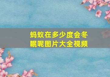 蚂蚁在多少度会冬眠呢图片大全视频