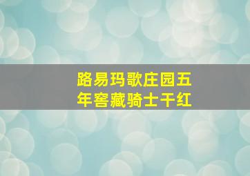 路易玛歌庄园五年窖藏骑士干红