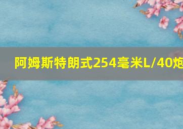 阿姆斯特朗式254毫米L/40炮