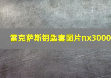 雷克萨斯钥匙套图片nx3000