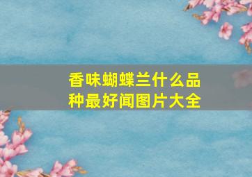 香味蝴蝶兰什么品种最好闻图片大全