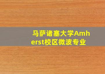 马萨诸塞大学Amherst校区微波专业