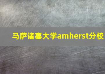 马萨诸塞大学amherst分校