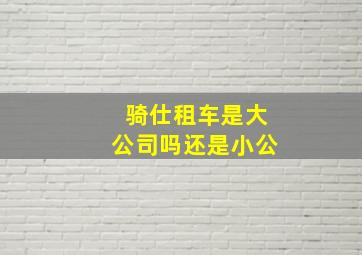 骑仕租车是大公司吗还是小公