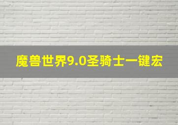 魔兽世界9.0圣骑士一键宏