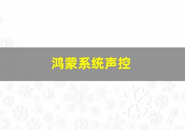 鸿蒙系统声控