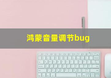 鸿蒙音量调节bug